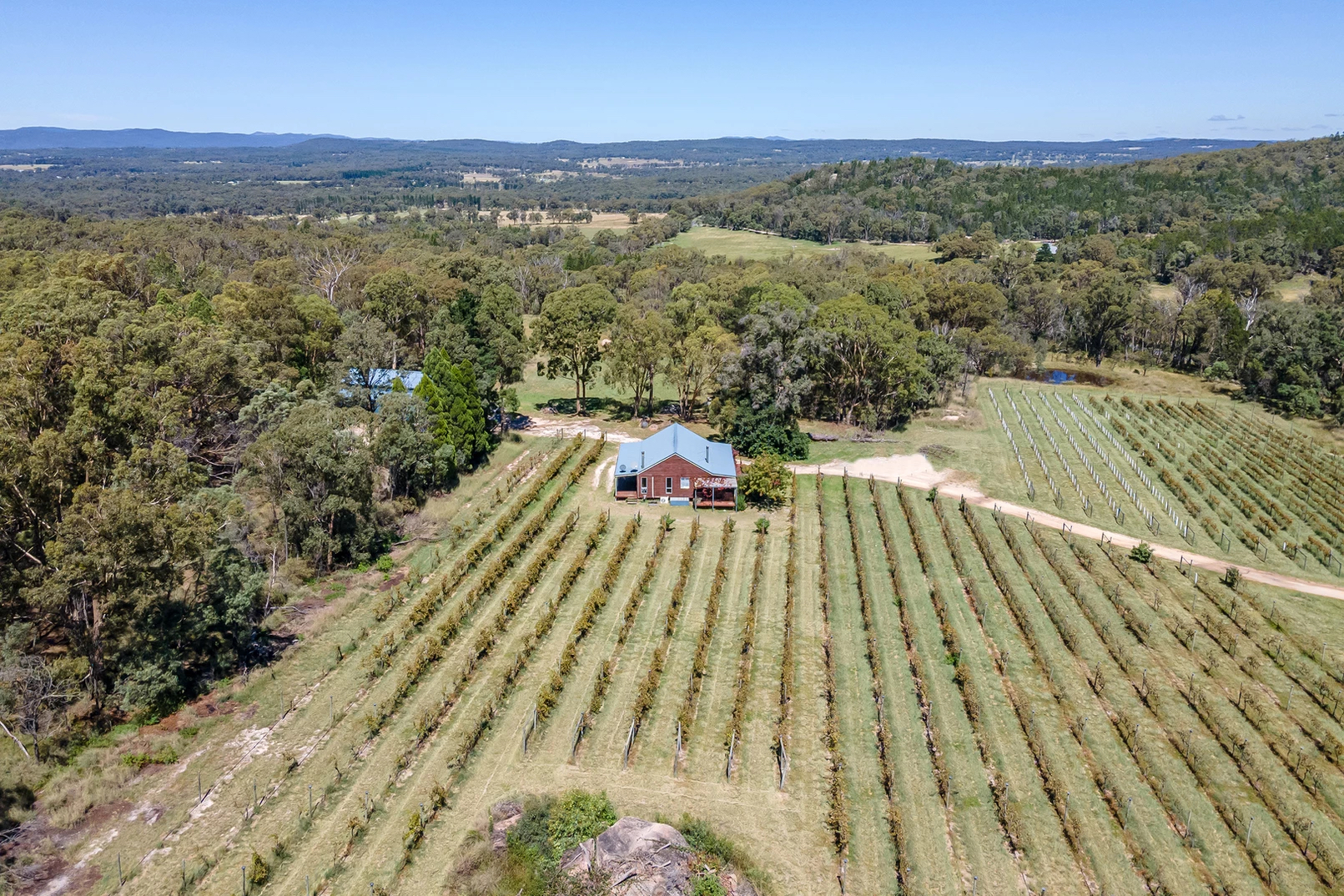 Aerial view of Ravenscroft vineyatd